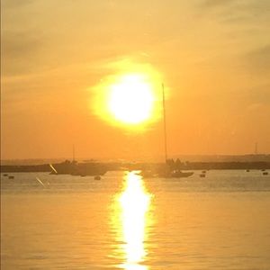 Meet your Posher, Oliver